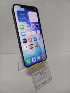 photo_2026-03-31_12-00-32